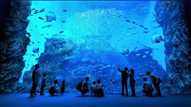 Sendai Umino-Mori Aquarium Tickets