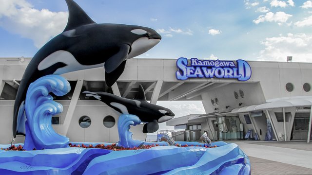 Kamogawa Sea World Tickets