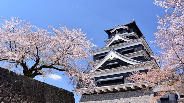 Kumamoto Castle Tickets