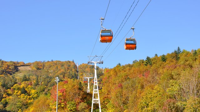 Jozankei Autumn Gondola and Hoheikyo Bus