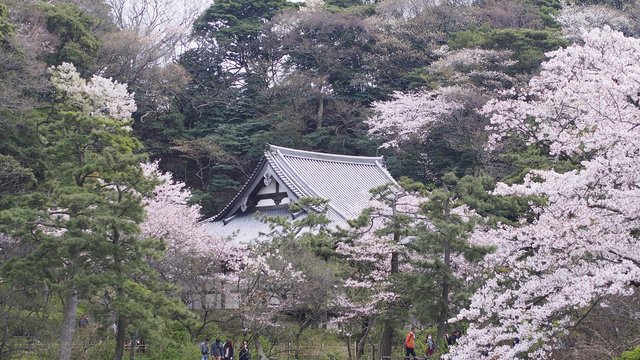 Sankeien Garden Tickets