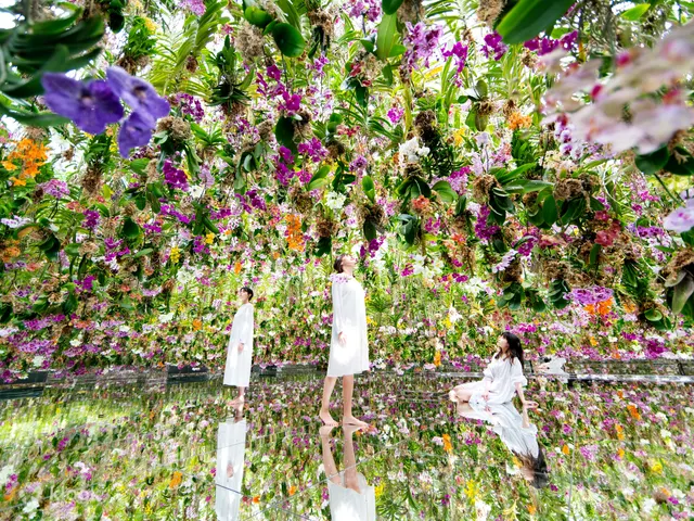 teamLab Planets TOKYO digital art installation
