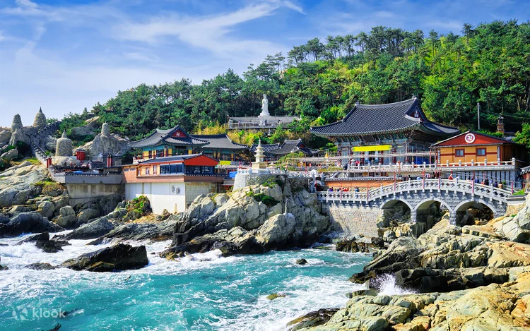 Busan one-day tour with beach train, sky capsule, and coastal sightseeing (2)