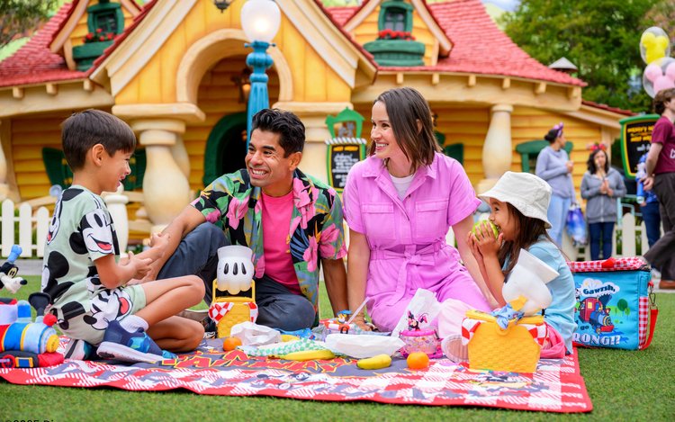 カリフォルニアディズニーランドリゾート チケット