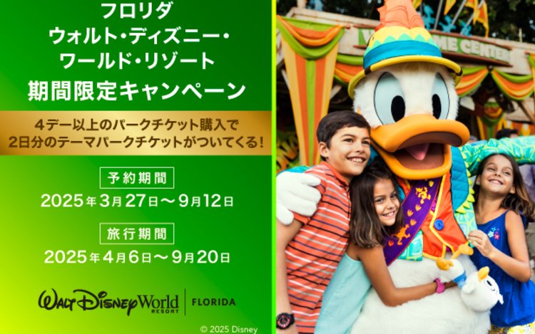Disney - ディズニー チケット ディズニーチケット ミッキー