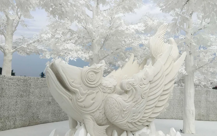 FROST Magical Ice of Siam 2