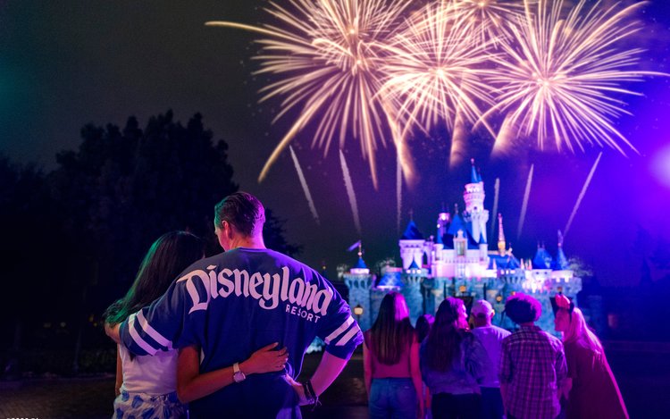 カリフォルニアディズニーランドリゾート チケット（ロサンゼルス