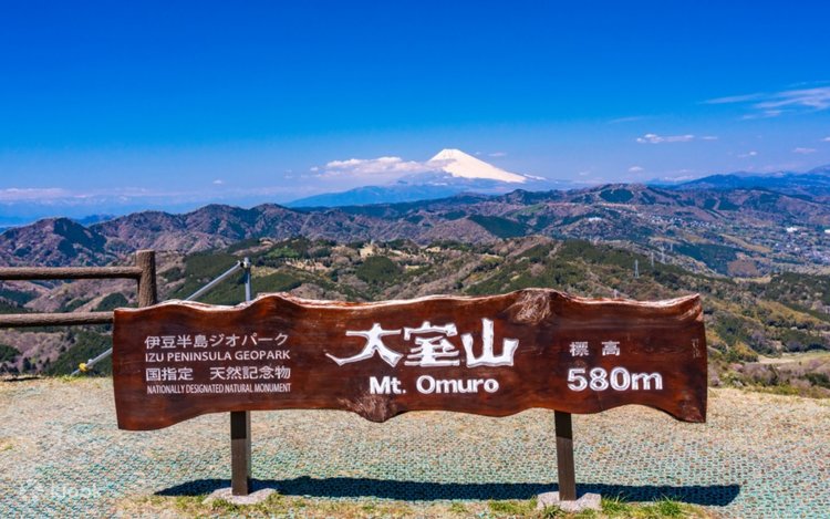 One-day tour of Atami Sunshine Beach Road, Kinusaki Coast, and