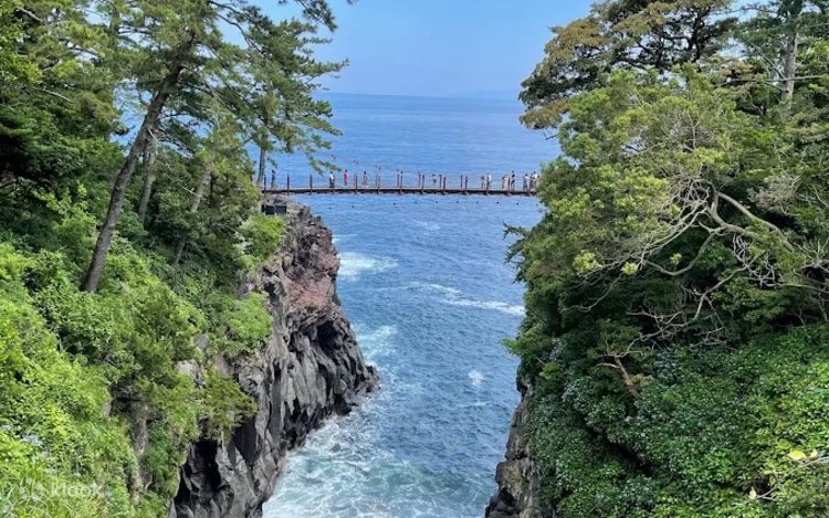 Izu Ocean View Day Trip | Departing from Tokyo - Klook United States