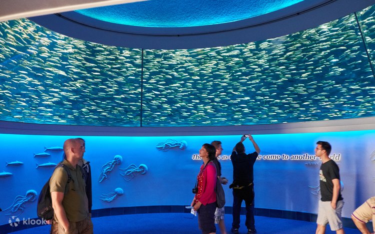 History and founding: how reputation grew