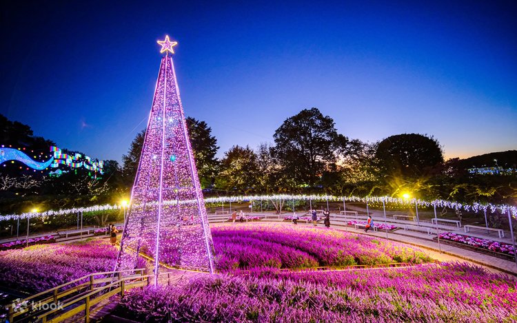 園光 花卉 栃木縣】受到日本三大燈光秀認定的足利花卉公園！邁向20週年的