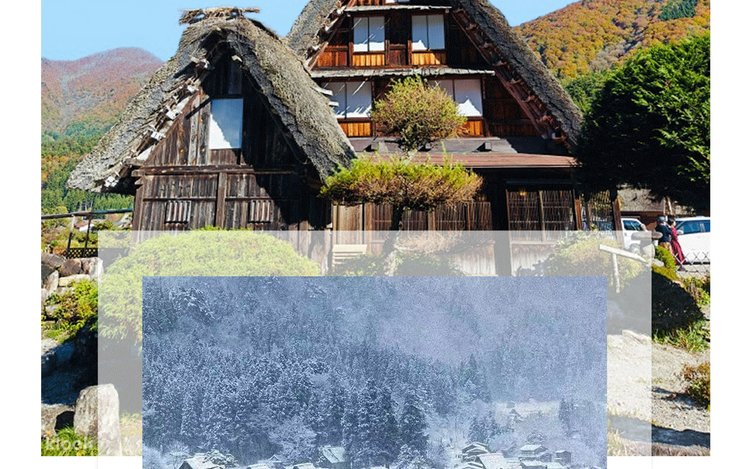 旅するマメしば　飛騨限定　世界遺産 白川郷 世界遺産】白川郷一日観光|飛騨高山 宮崎駿アニメの世界 白川郷合掌村