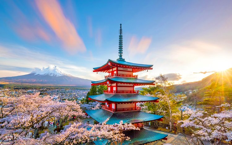 富士山写真 「雄揮の大地」 夏の富士 #富士山