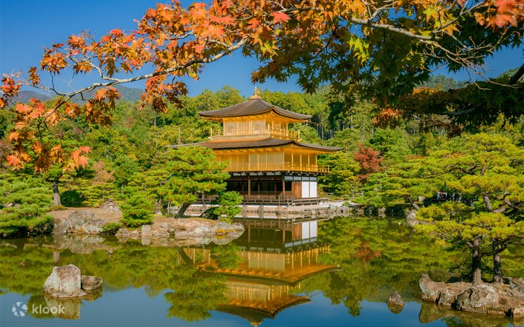 京都と宇治の双子の古都：清水寺と仁寧坂 | Klook
