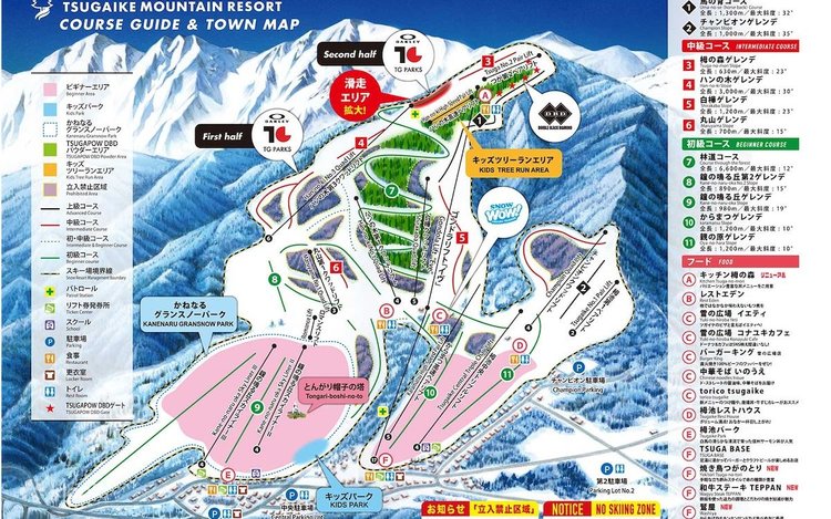 栂池高原スキー場　早割リフト券×2 2019-2020栂池高原スキー場早割リフト券