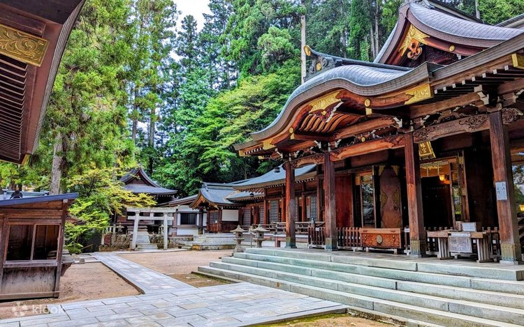 Takayama History and Temples One Day Tour with Handcraft