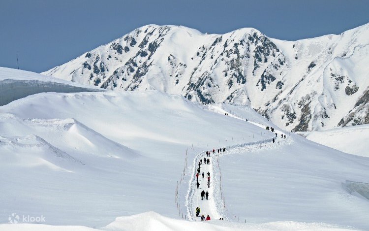 2D1N Tateyama Kurobe Alpine Route, Shirakawago, and Takayama Tour