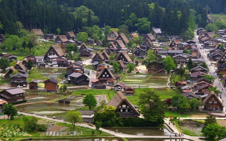 世界遺産白川郷と飛騨高山の日帰りツアー (ランチビュッフェ付き