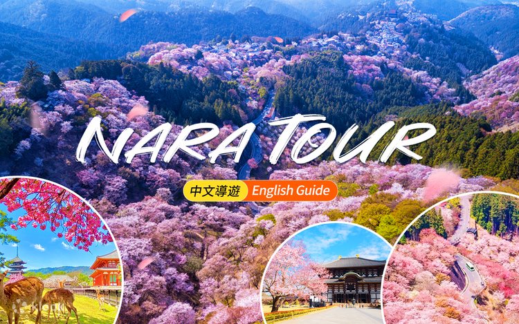 yoshino nara wallpaper