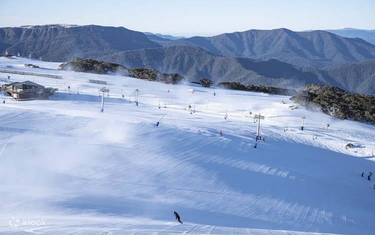 Chuyến đi trong ngày đến Mt Buller Winter Wonderland từ Melbourne - Klook  Việt Nam