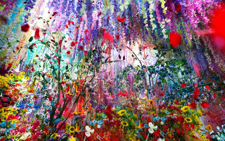 Mika Ninagawa Exhibition with EiM: Light of the Higan