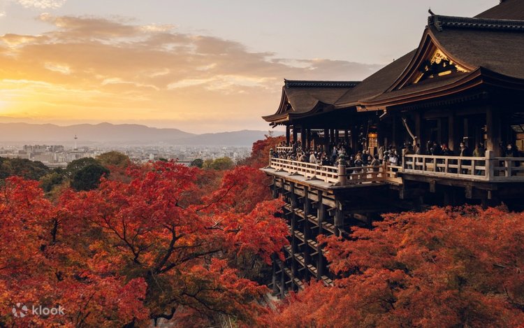 影向寺 小池汪写真集 Kagekoji Temple Koike Akira 影向寺小池汪写真集– kokiriyama