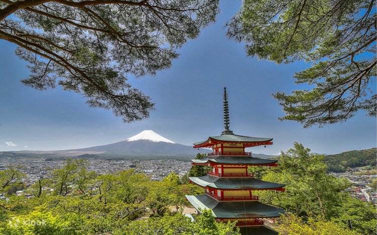 股旅　舞台ステージ幕　富士山　布製 公式】劇場版どまつり 2025Premium Stage 「半布里」（岐阜県