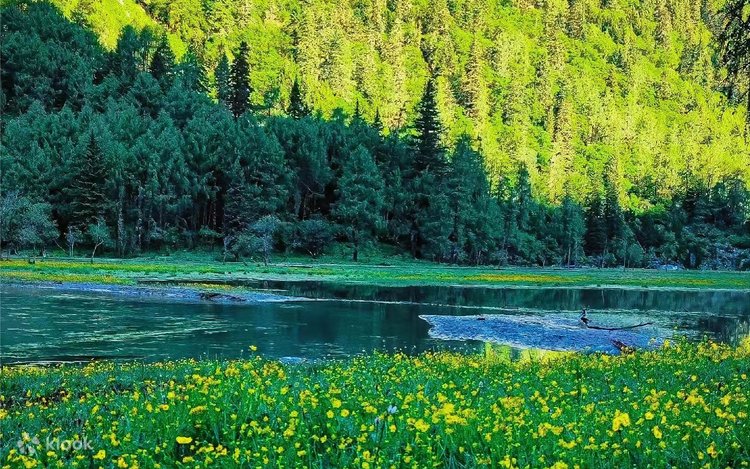 Serena Grande yalangoch jinsiy aloqa