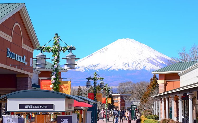 山 ZGトレックGTX WMN(39 チタニウム): スカルパ | ロストアロー