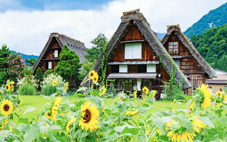 秋・冬限定】白川郷 合掌造り集落＋飛騨高山 日帰りツアー｜中国語