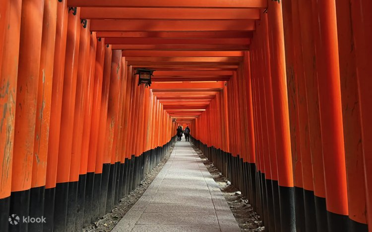 Kyoto Fushimi Inari Taisha Small Group Cultural Tour - Klook Australia