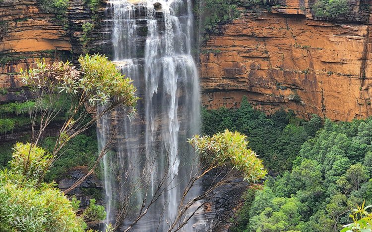 Tour tham quan Blue Mountains trong ngày với Đi bộ trên thác và Bữa trưa dã  ngoại giao lưu - Klook Việt Nam