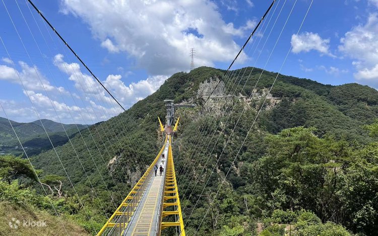 ①天然木のお名前プレート　６個 ②吊り橋スーパーロング ①天然木のお名前プレート 6個 ②吊り橋スーパーロング 30歳以下