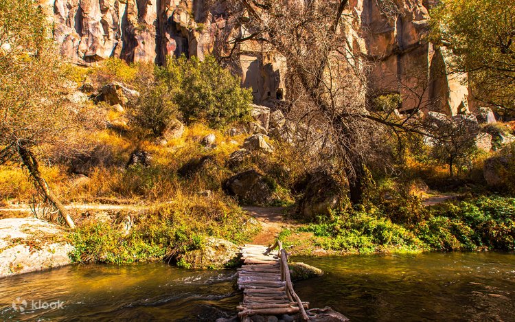 Dogistonlik ayollar chechen erkak bilan jinsiy aloqada bolishadi