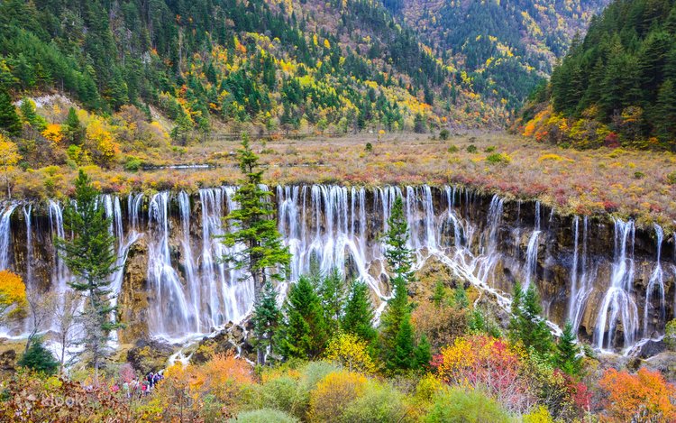 Anna Netrebkoning porno saytlari Universitetdan Alla Mayklni sikadi