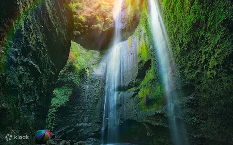 Barmoqni mushukchaga kiritadi