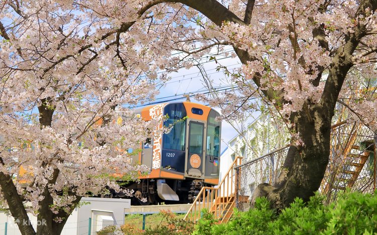 阪神電車1日乗車券 六甲山セット - Klook
