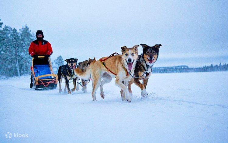 Erkakning eshagidagi mushti