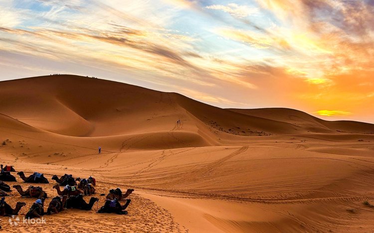100台限定品★外幕2枚　Field SAHARA×Nature Arts Marrakech Sahara Desert & High Atlas Private Multi-Day Tour - Klook