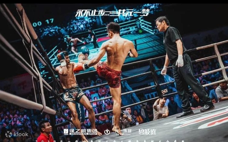 MUAY THAI ムエタイ 81zCqnajfXL._UF350,350_QL50_.jpg