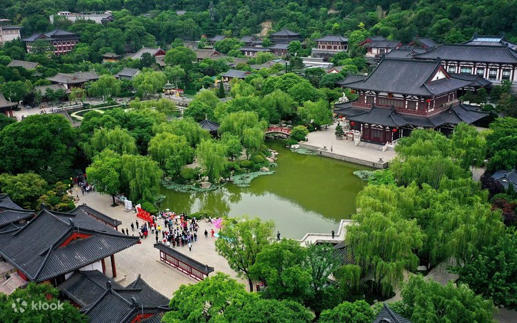 Pubik suyagi notogri shakllangan.