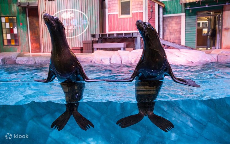 ジョージア水族館 入館チケット（アトランタ） - Klook