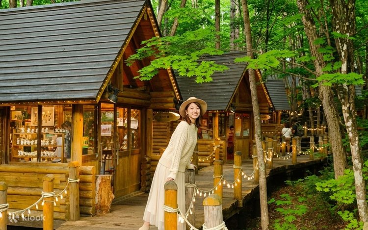 Hokkaido Furano Day Tour: Asahiyama Zoo & Forest Elf Terrace