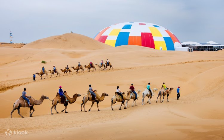 Seks film ona ogil jinsiy aloqa Nasos bilan mushukimni pompalayapman (video)