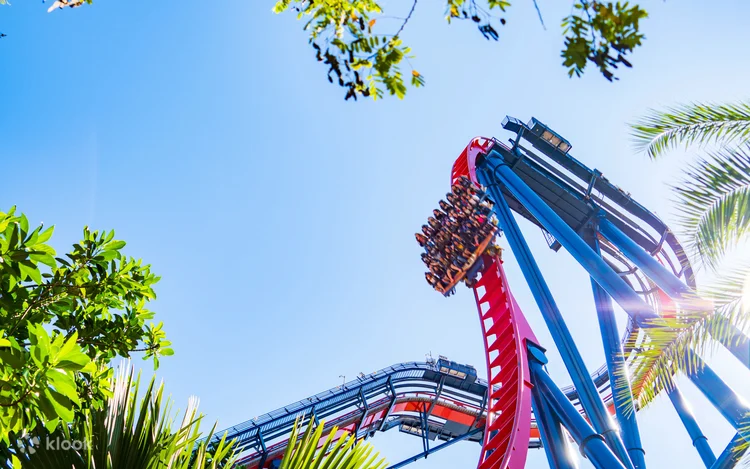 Busch Gardens Tampa Bay Admission