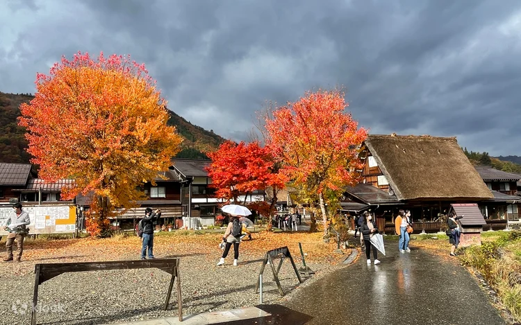 Autumn foliage and a traditional house in Shirakawa-go
