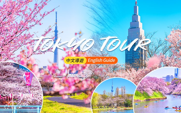 桜の季節限定 | 花の香りと桜の魅力を満喫する東京の桜の名所を巡る