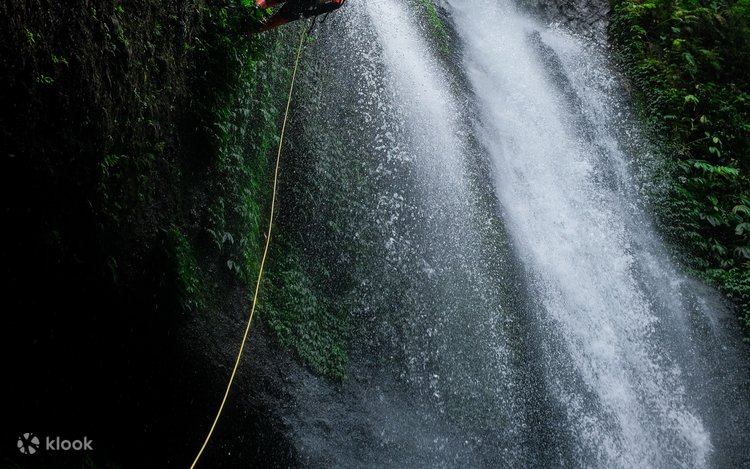 Балапандар камминг HD бейне