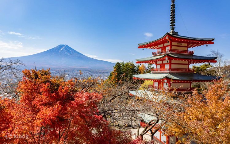 富士山チャーター日帰りツアー | Klook
