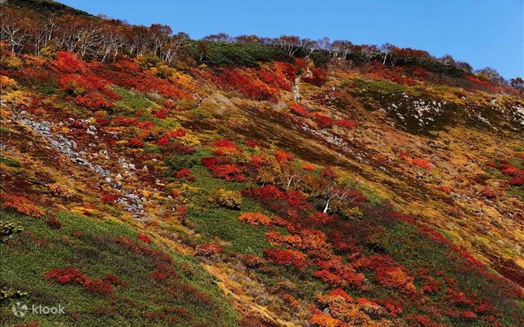Sapporo Daisetsuzan Sounkyo & Nukabira Onsen 2-Day Autumn Leaves